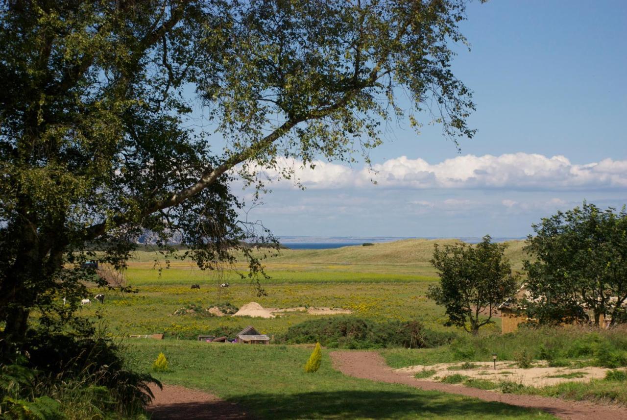 Harvest Moon Treehouse Villa Dunbar Ngoại thất bức ảnh